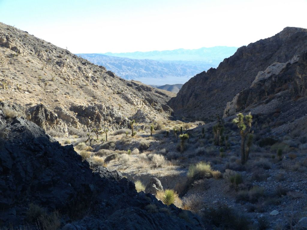 Looking back down the canyon from the spot where it heads sharply to the southwest at about 5,200 feet in elevation: