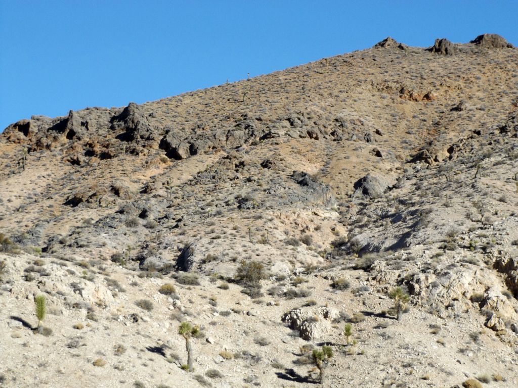 While hiking up canyon, we were scouting potential ridges to climb up.  However, we wanted to see as much of the canyon as possible, so we kept going past this hillside: