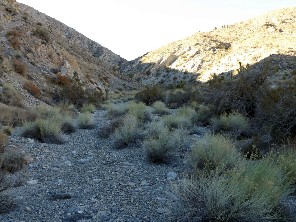 The scenery through here was mostly hillsides dropping down into the wash rather than solid canyon walls: