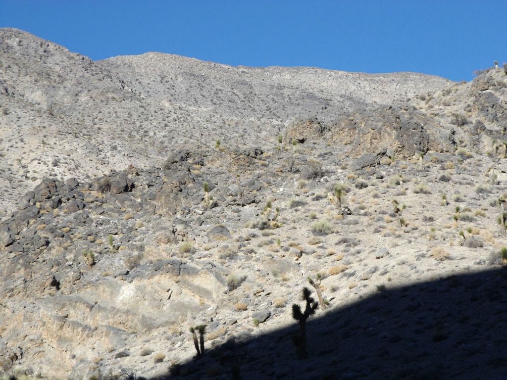 There were some really high ridges and mountain tops visible above the canyon: