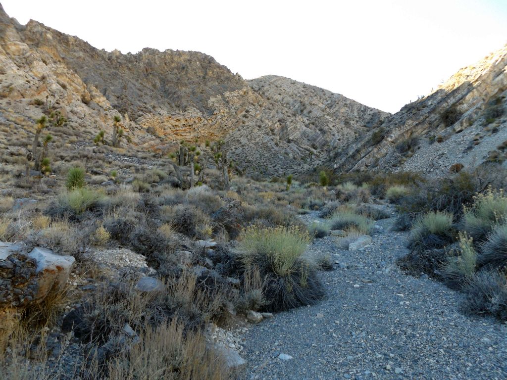 Notice that our walking path was a very narrow wash of smooth gravel: