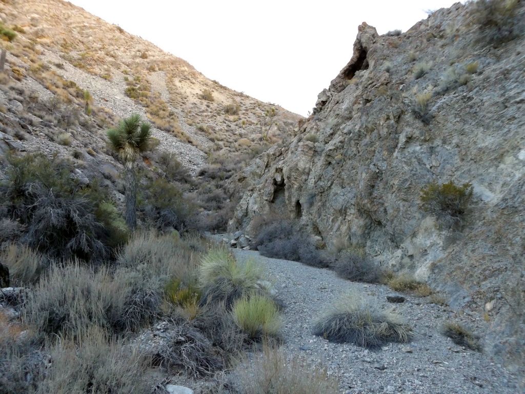 The walking path winds right next to this interesting canyon wall on the right side: