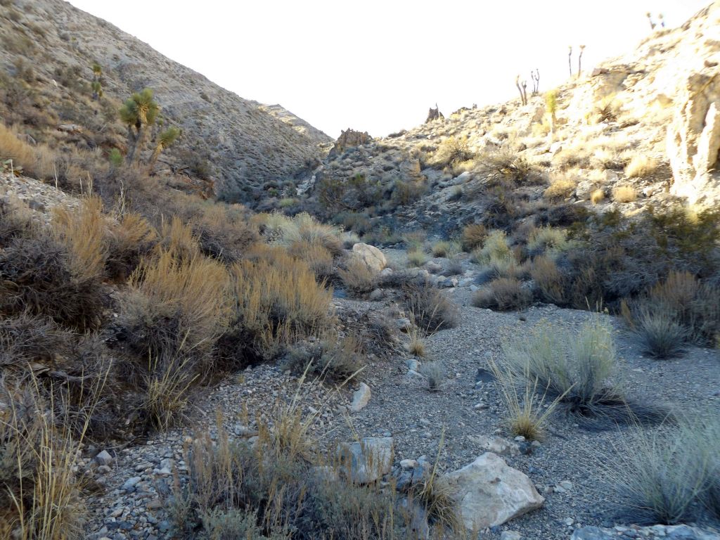When planning out the hike at home, I was unsure if we were going to be able to get past the major dry fall.  Now that we had, it was time to explore more canyon:
