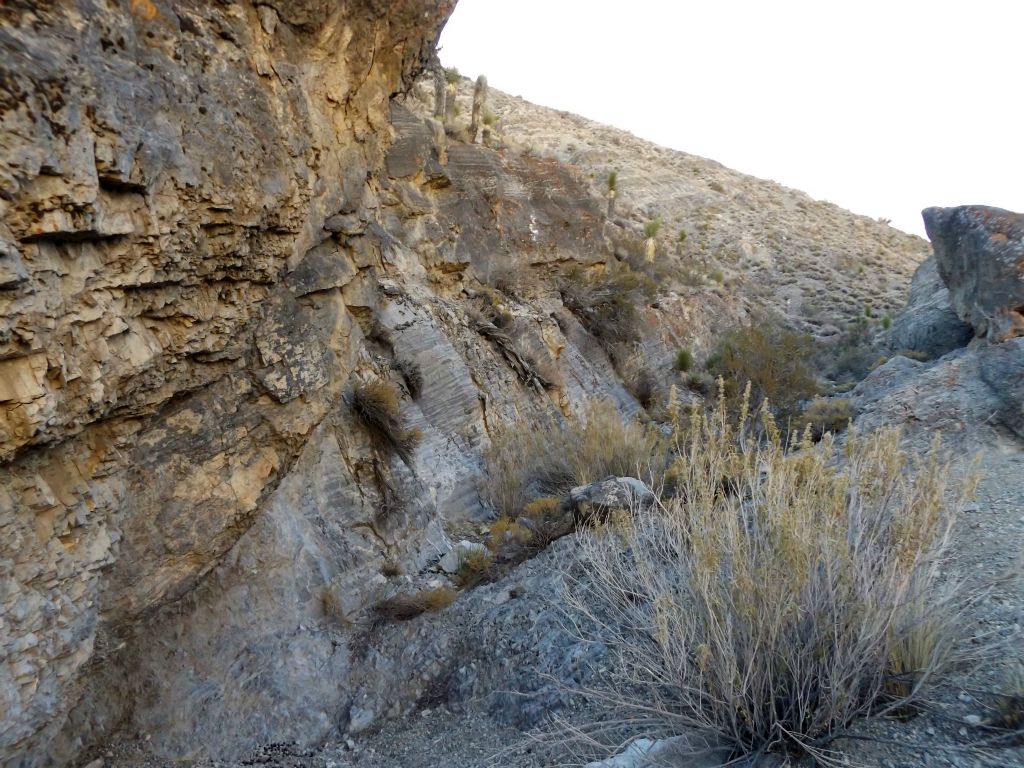 The canyon soon became a lot narrower and there were portions of canyon walls with solid rock: