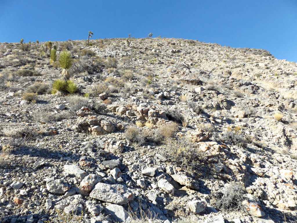 The steepness increased as we neared the top of the ridgeline leading to the summit: