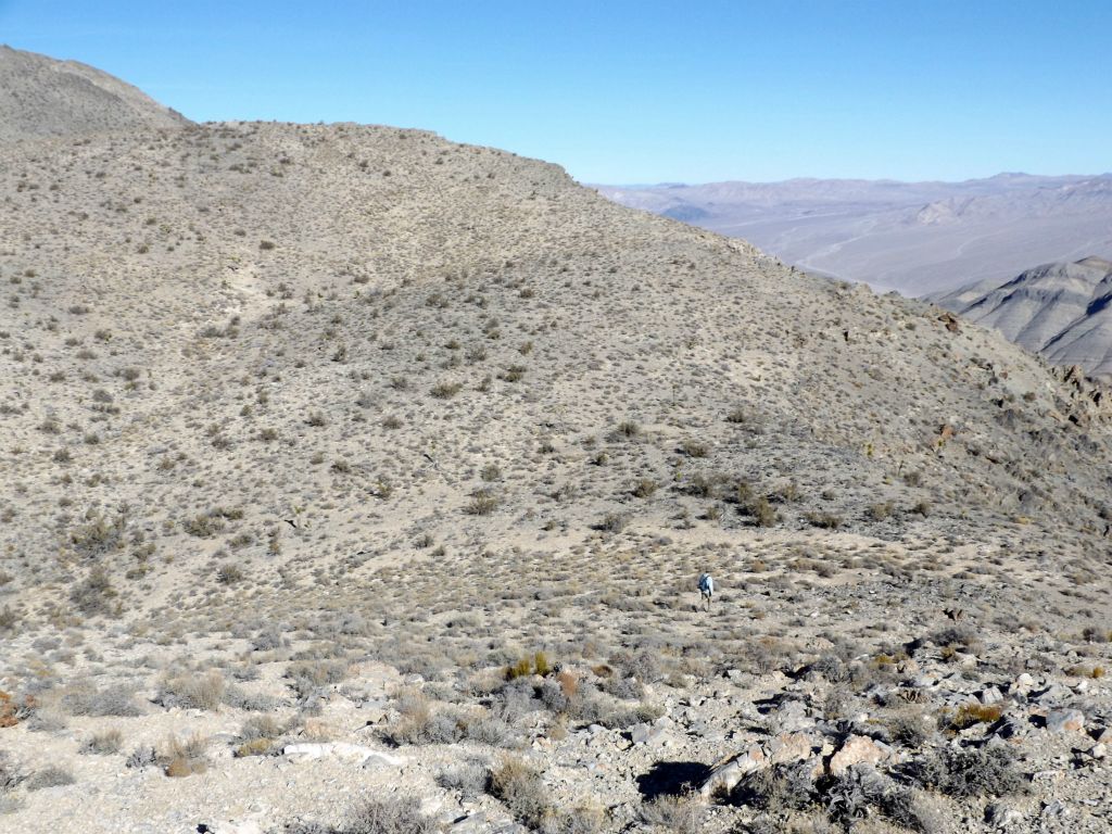 Before doing our final climb to the summit, we first had to descend and lose almost 100 feet of elevation: