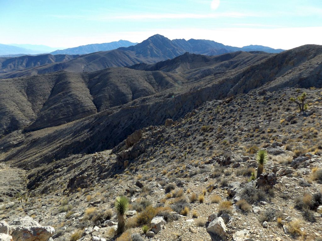I took this picture because it shows the entire ridge we climbed up from the canyon (center of picture):