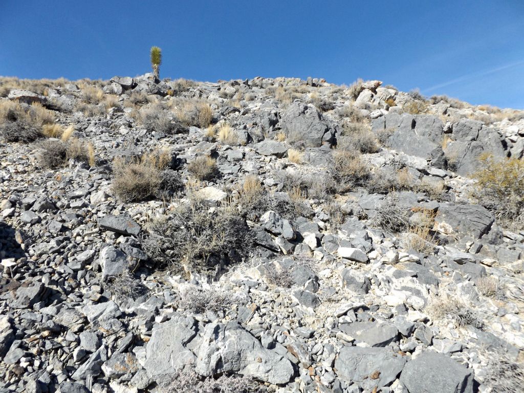 This is the final climbing section before reaching the summit: