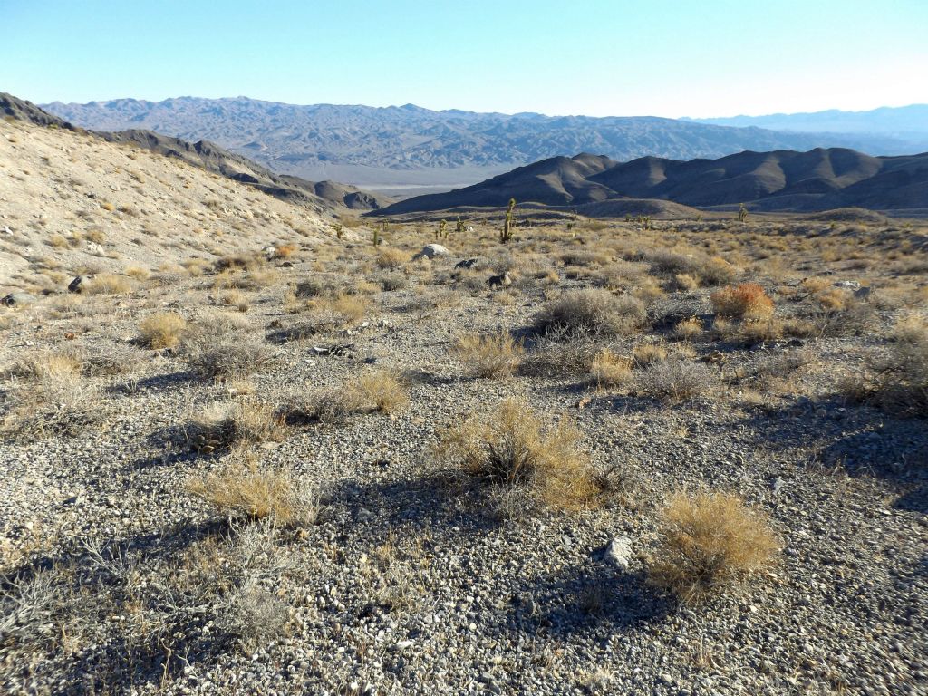 Looking back down the easy hiking terrain of the first mile.  About the only challenge besides navigating correctly was dodging bushes: