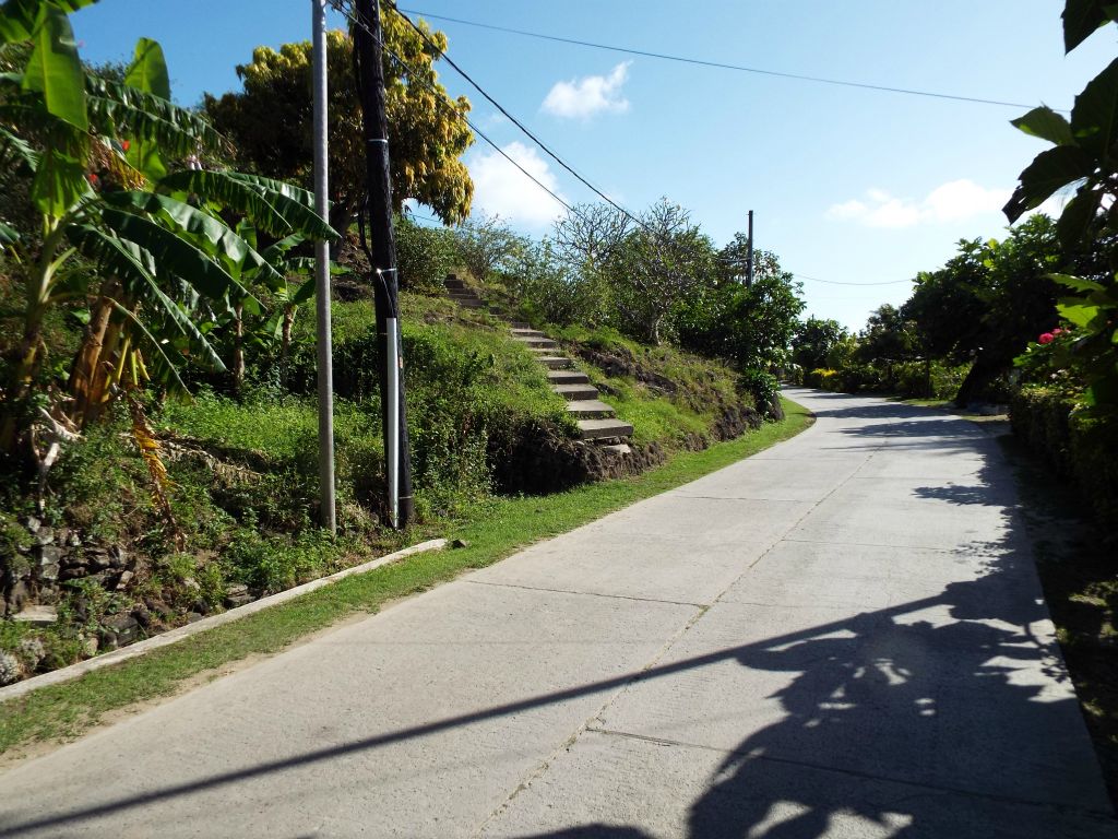 A short distance north of the main dock and snack shop on the island are these concrete steps heading up the hillside to the west: