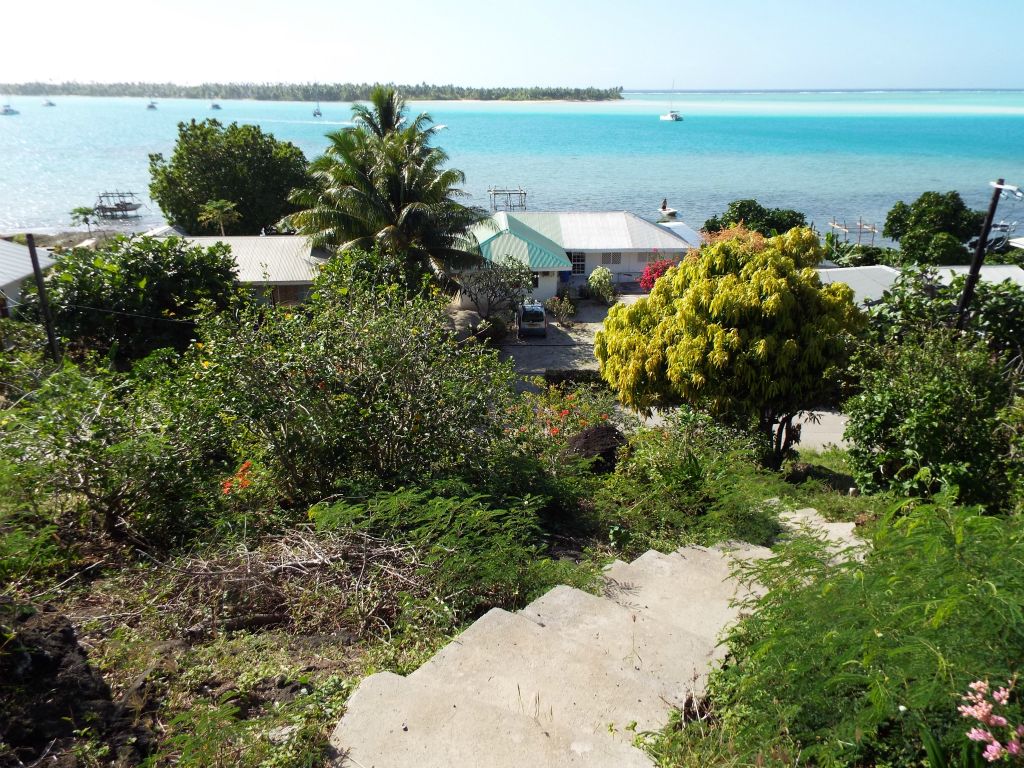 Looking back down from the top of the concrete steps.  From here to the summit, the trail turned to dirt and rock: