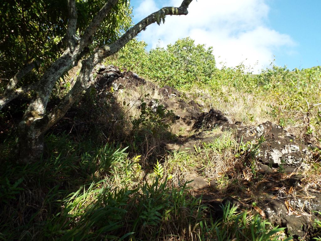 The next two pictures showcase the early part of the trail as it passes through some grassy areas: