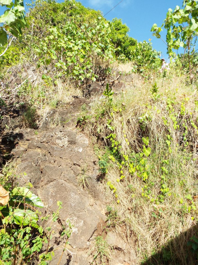 The trail occasionally climbs up rocky areas like this which seem to have natural steps: