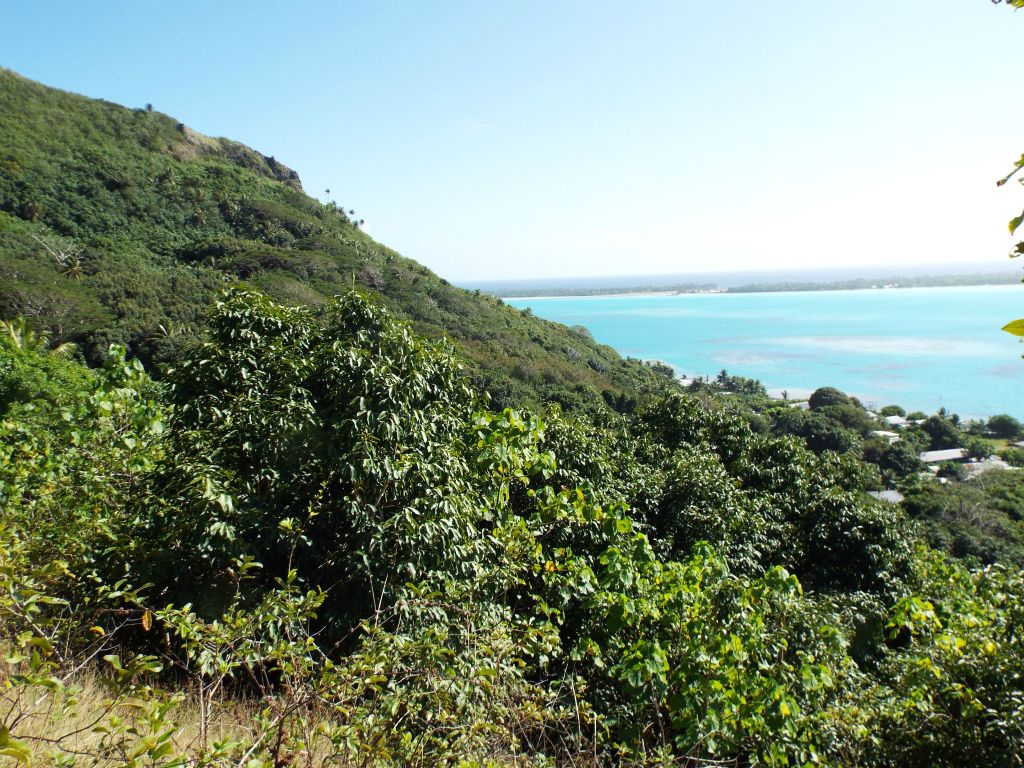 View looking to the north at a distant ridgeline covered with trees: