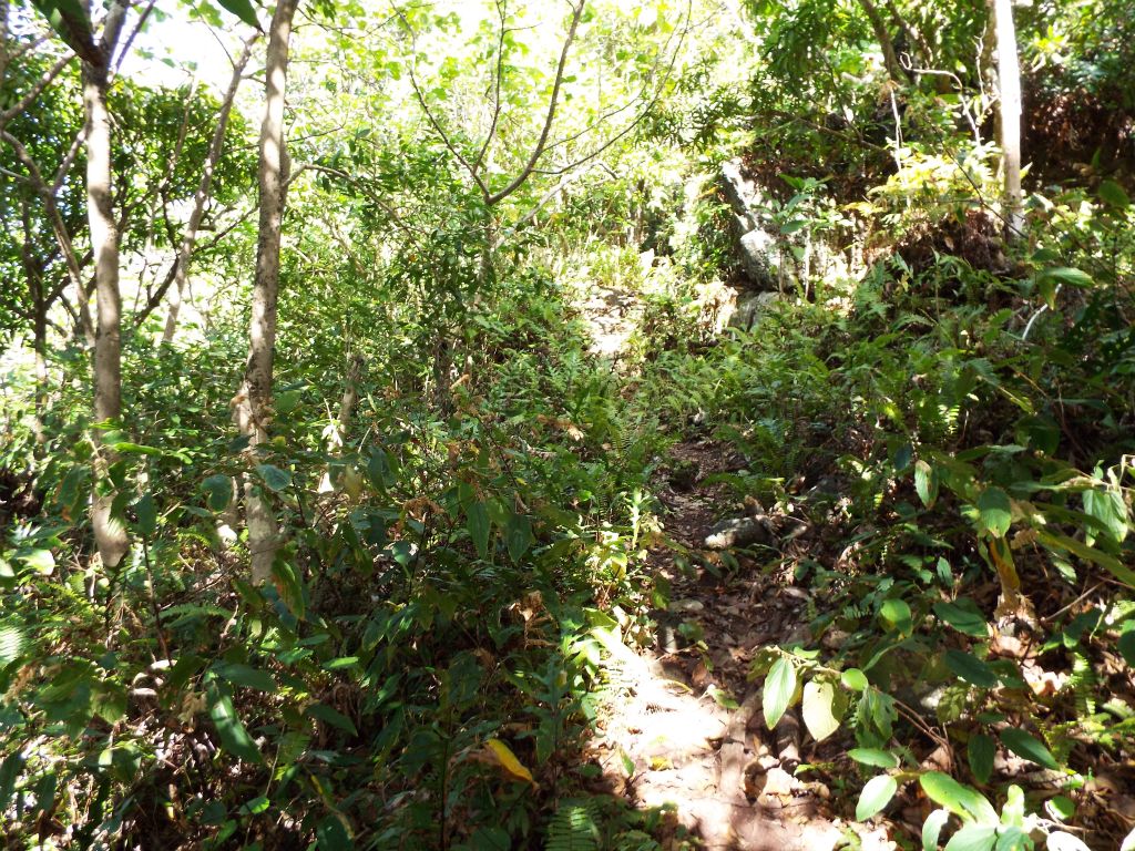 A slightly overgrown trail but still easy to follow.  This trail seems to get a lot of use by visitors.  We saw at least 3 other groups hiking on the same day that we went: