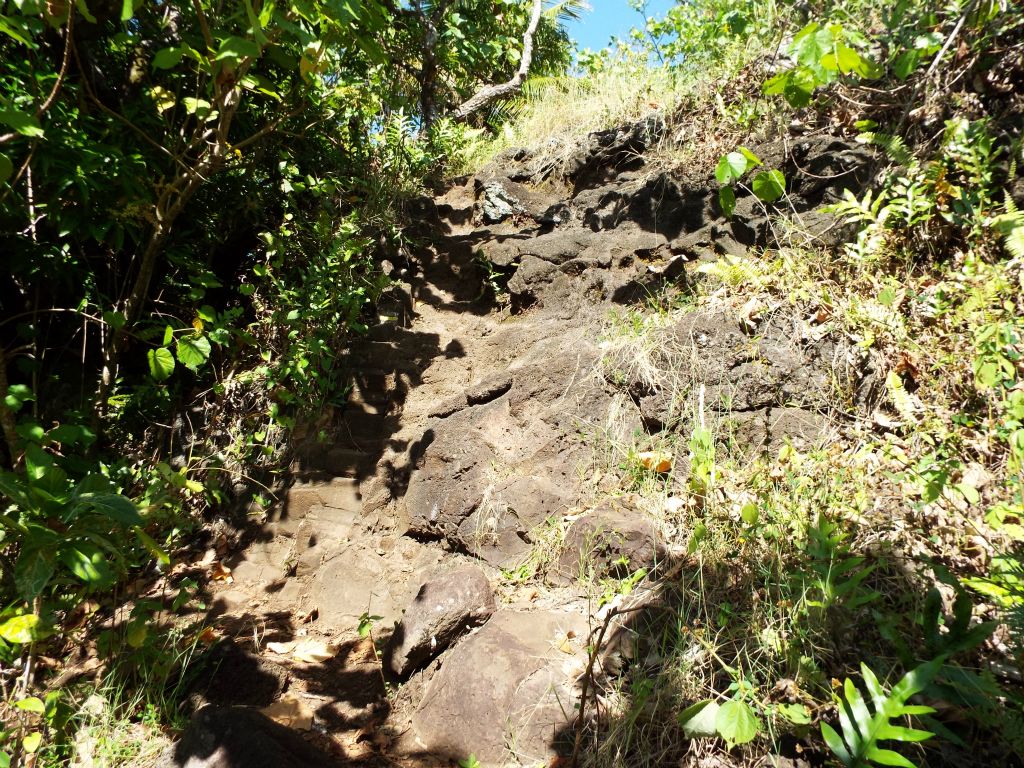 Another rocky section to climb in between portions of dirt trail: