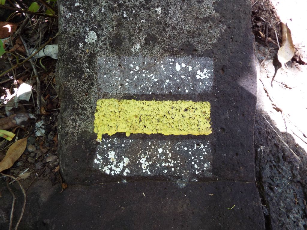 These are what the trail markers look like.  These markers are useful since there are numerous confusing forks in the trail on the hike up: