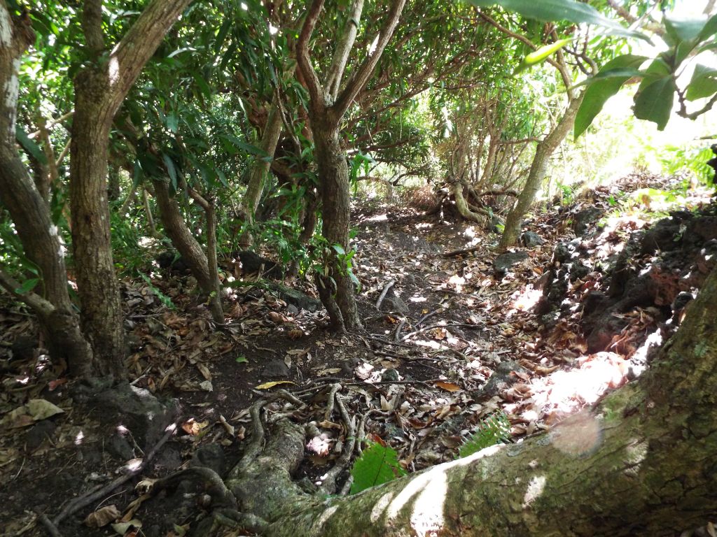 Looking down some steep hiking terrain: