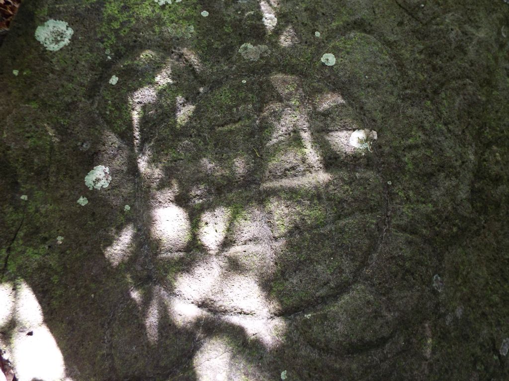 Two clear pictures of turtle petroglyphs etched into river boulders:
