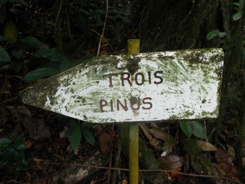 This way to Trois Pinus, also known as Three Pines Pass: