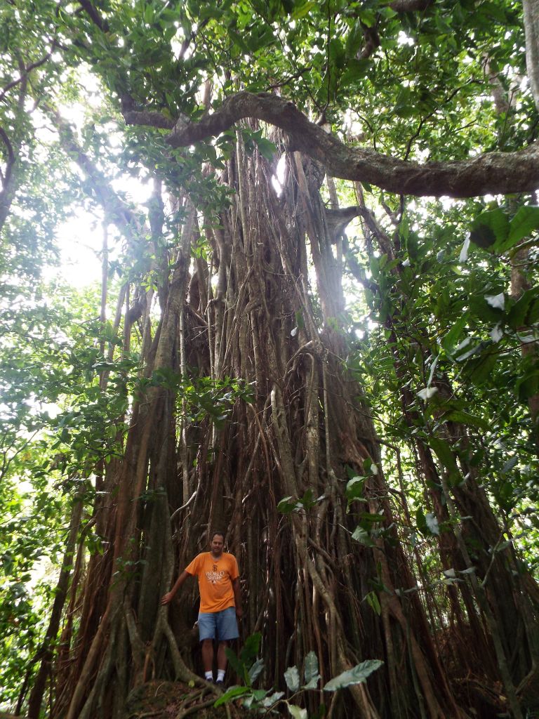 Charlie and I both got pictures next to the photogenic Banyan tree: