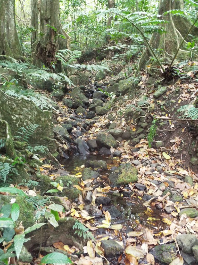 There was only lightly flowing water at the stream crossings: