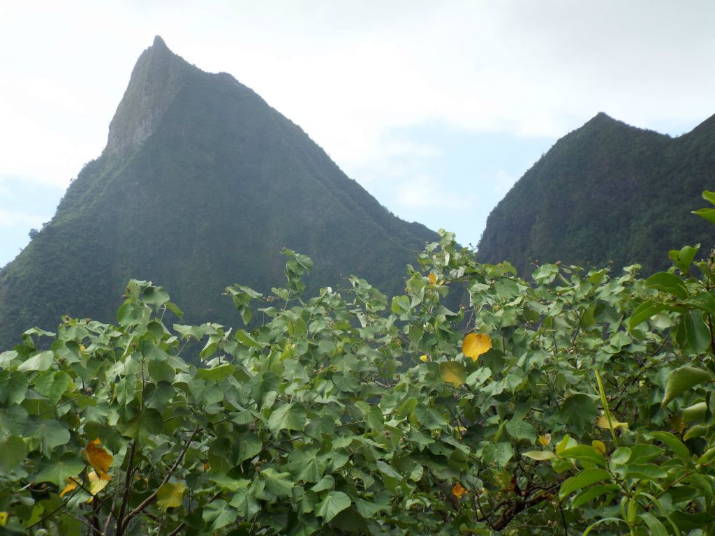 Mount Mouaputa (2,723 feet) is also visible from Three Pines Pass by looking to the east: