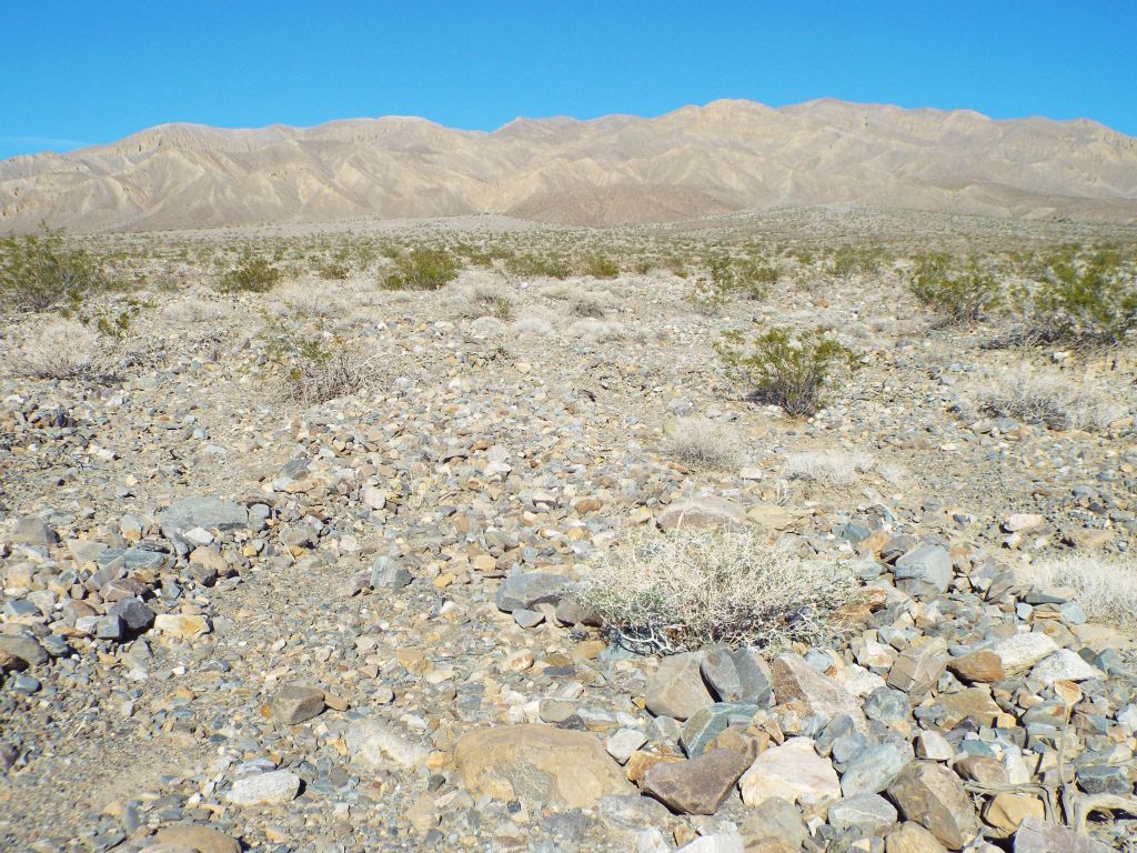 Typical terrain along the grueling 2 mile hike up the alluvial fan: