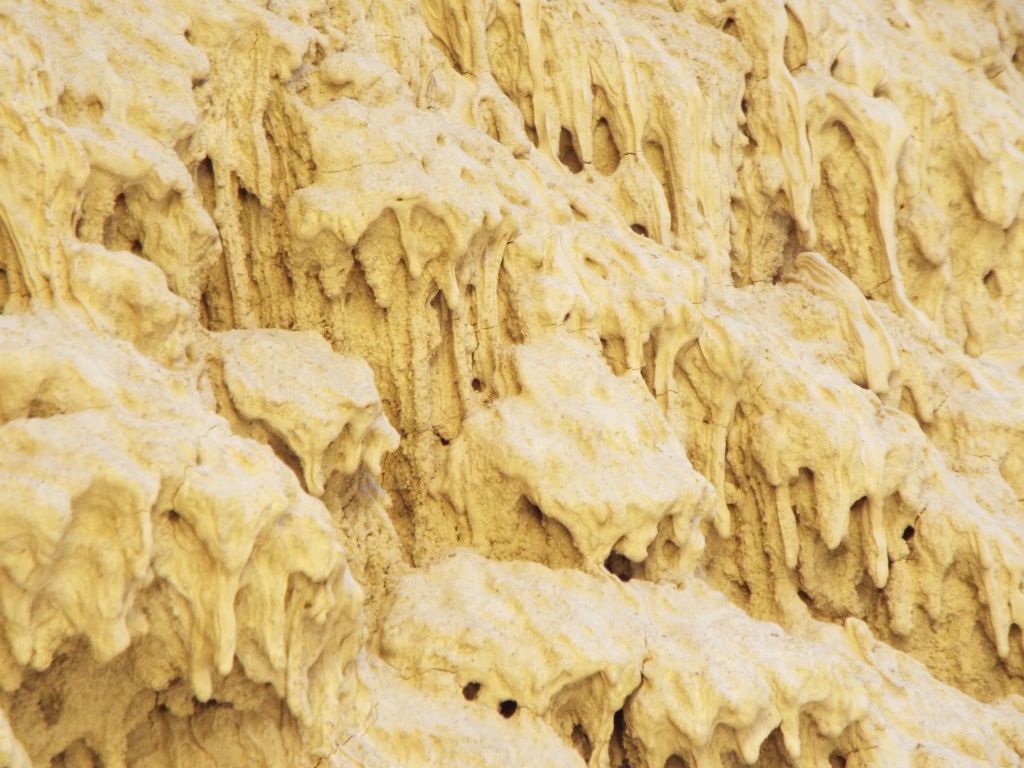 The next two pictures show some close-ups of the mud drip structures we found: