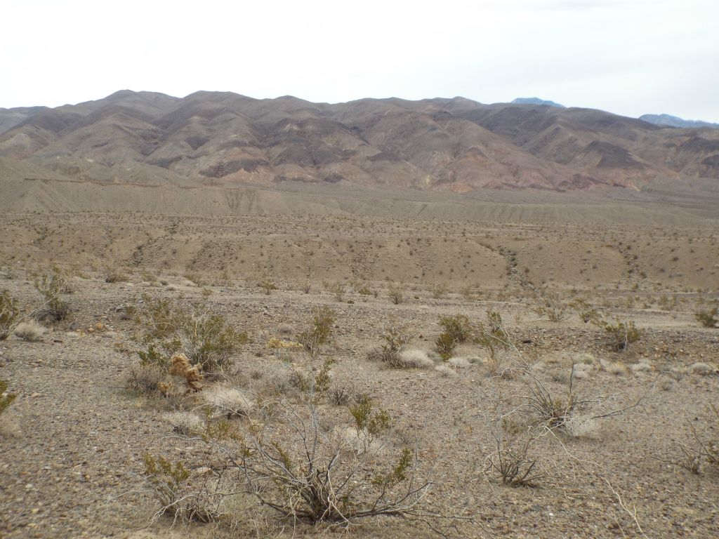 Williams Canyon is located off to the east (right side of picture).  It is one of the few major officially named canyons in the Panamints to remain completely undocumented: