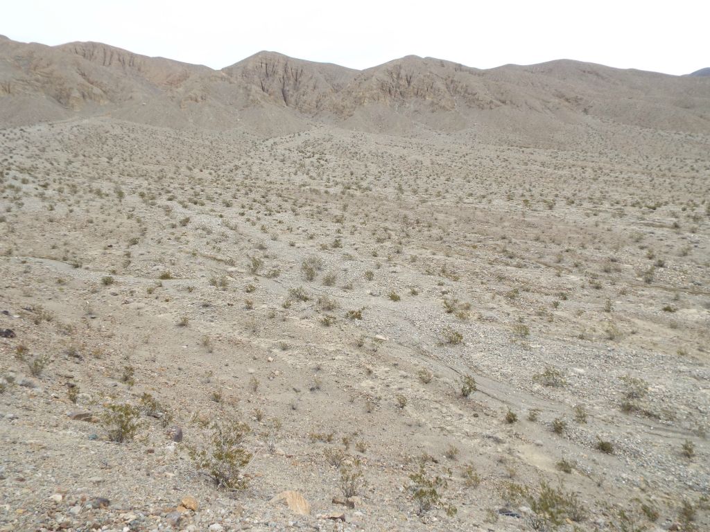 The foothills route took us up high above the main wash and cost us some unnecessary elevation gain: