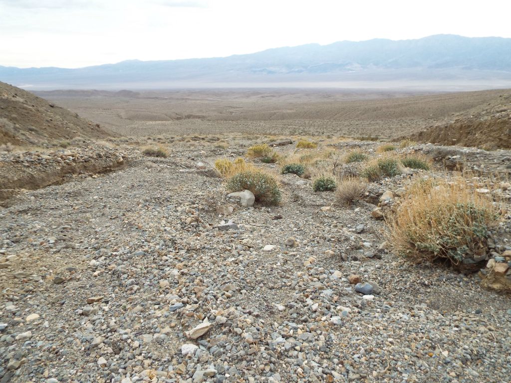 Looking back out the mouth of the canyon into Panamint Valley: