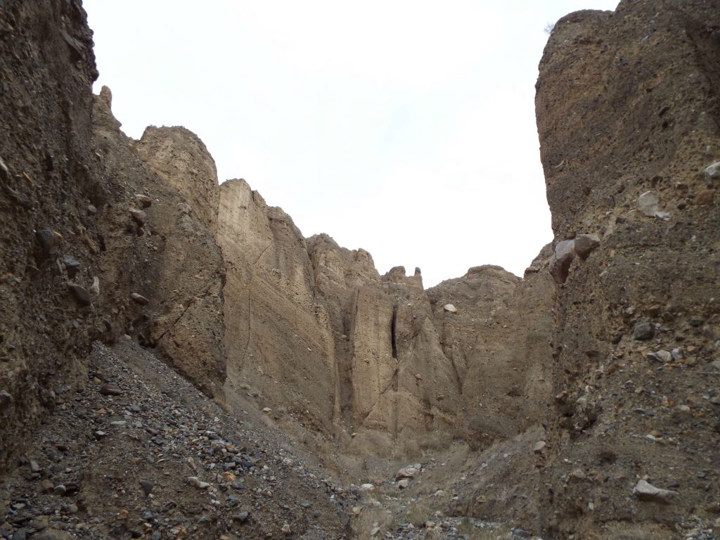 The background scenery started growing as we explored the side slot: