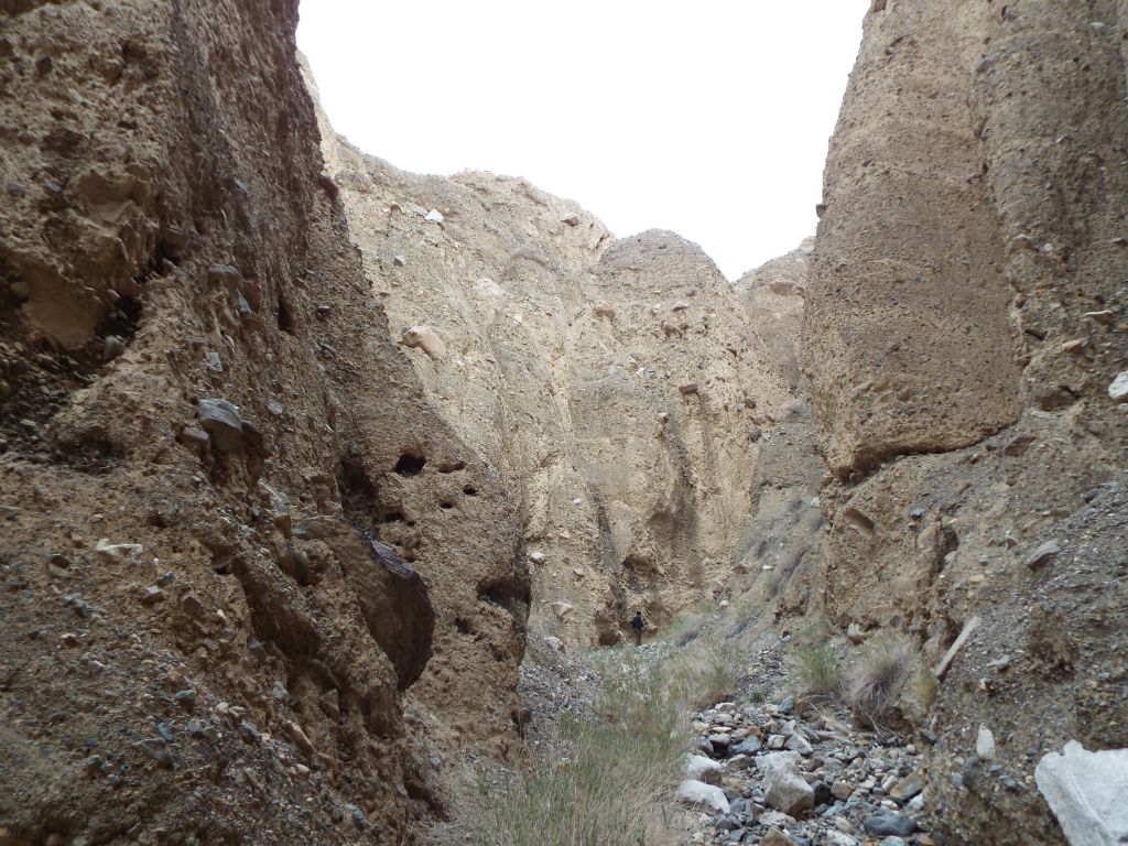 More narrows and tall canyon walls just ahead: