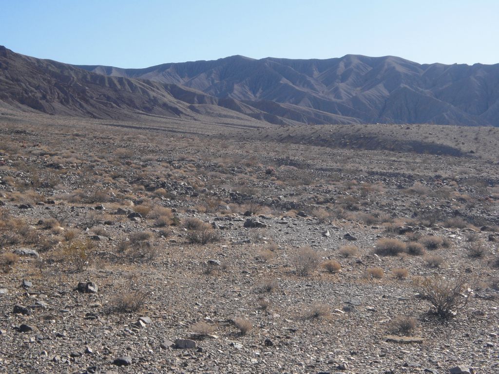 Eventually I came out of the wash and angled toward the left of the small hill on the right side of the picture: