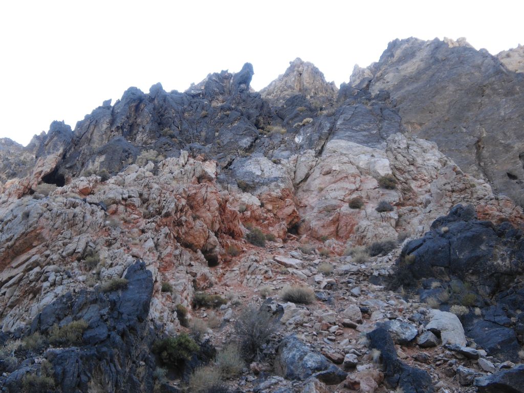 This mixture of red, tan, and black was particularly pretty: