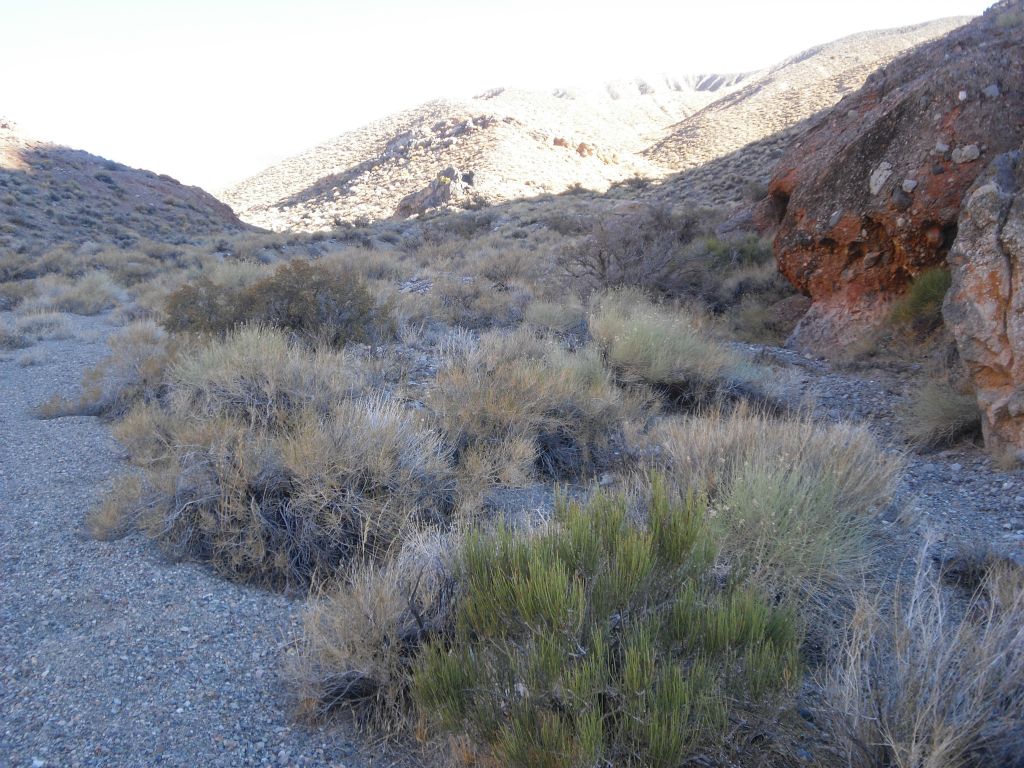 Notice that the hillsides are now transitioning back into dirt from rock: