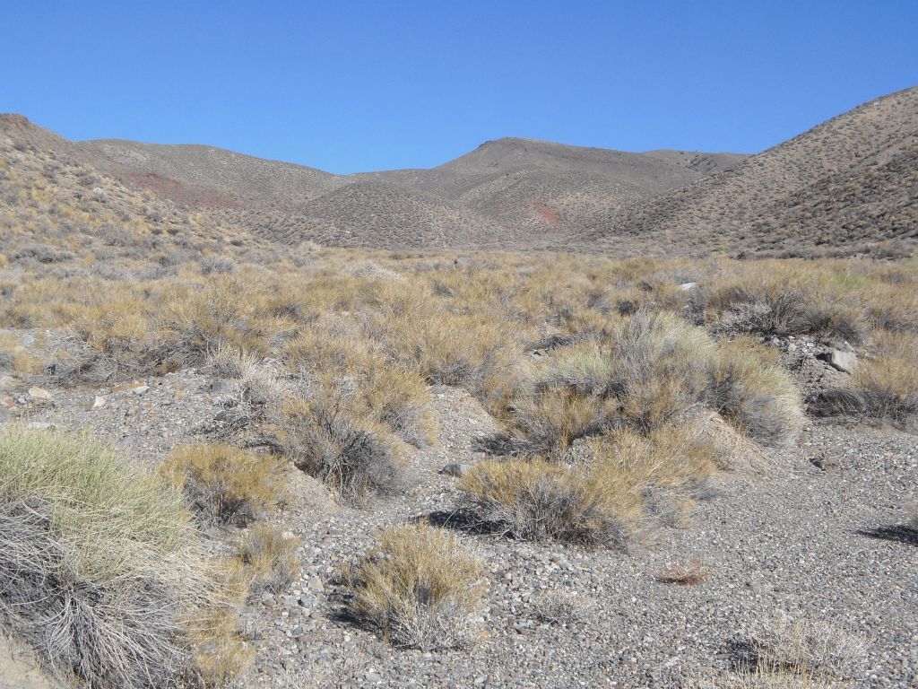 Beyond this spot, the canyon fully changed into uninteresting dirt hillsides.  Thus, I turned back.  If someone doesn't feel comfortable doing the bypass in Nova Canyon, they can still see the entire canyon by hiking in from the top: