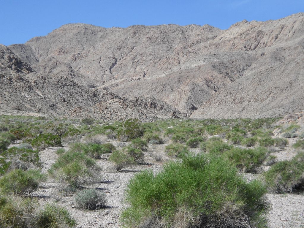 There is a long bend to round in the early part of the canyon and this is the view around the first major corner: