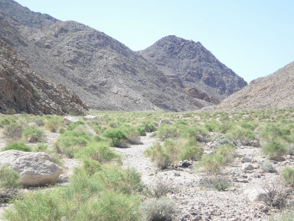 Heading into the middle part of Contact Canyon.  Contact was not as wide as many of the other officially named Owlshead canyons:
