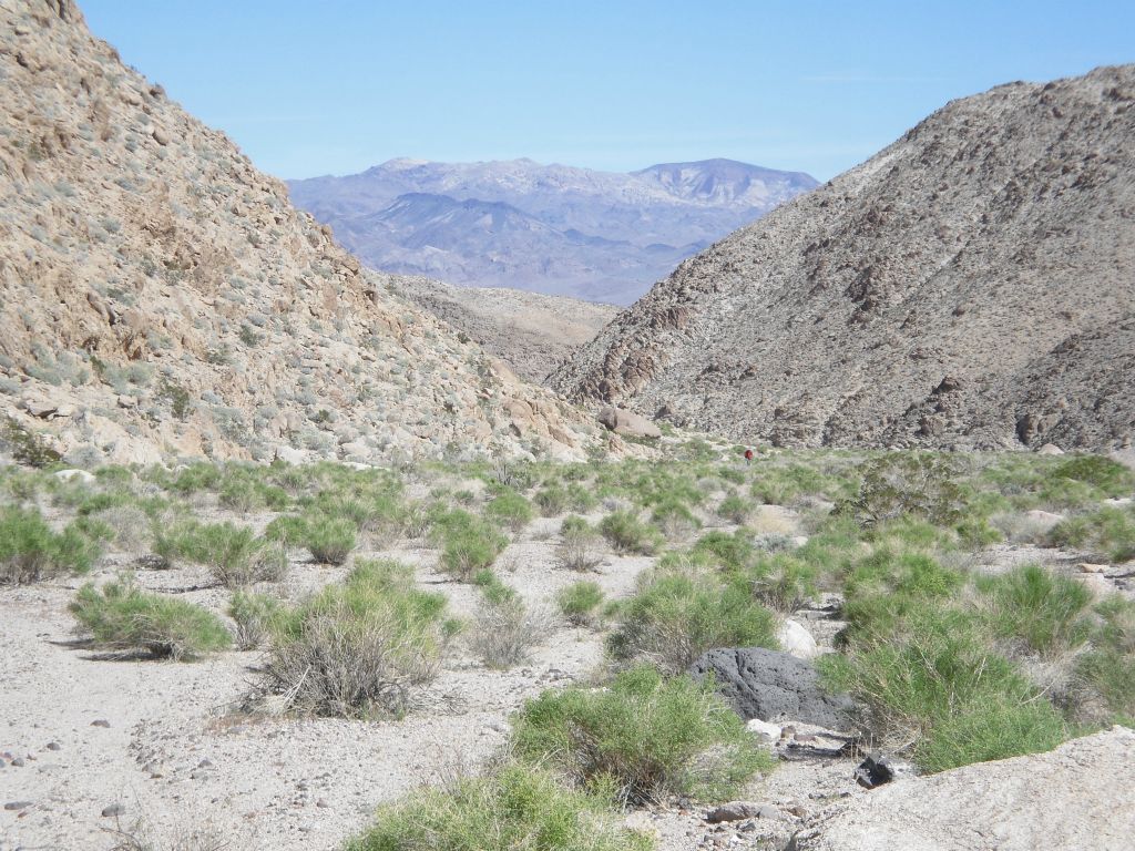 Looking back down Contact Canyon at the narrow bend we had just rounded: