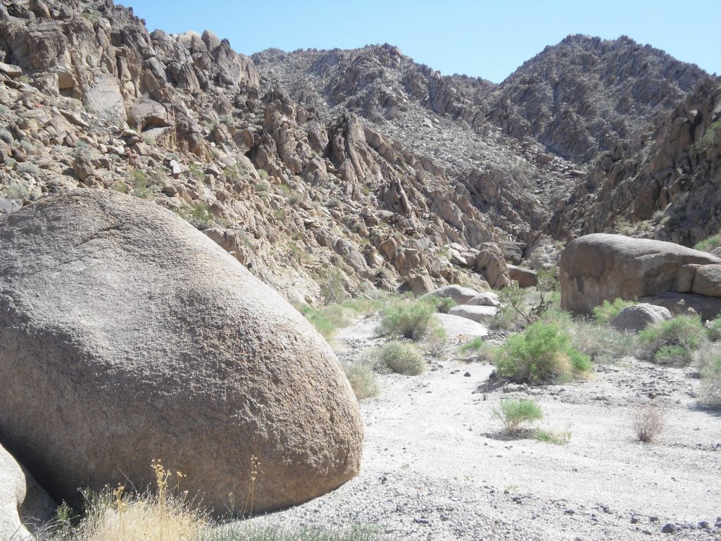 Above the 1st dry fall and back in the main canyon: