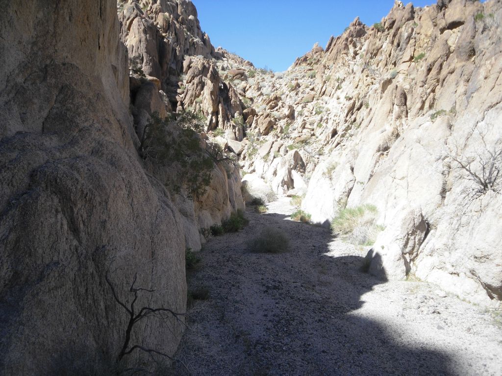 The canyon narrowed down even more as we progressed a little bit farther: