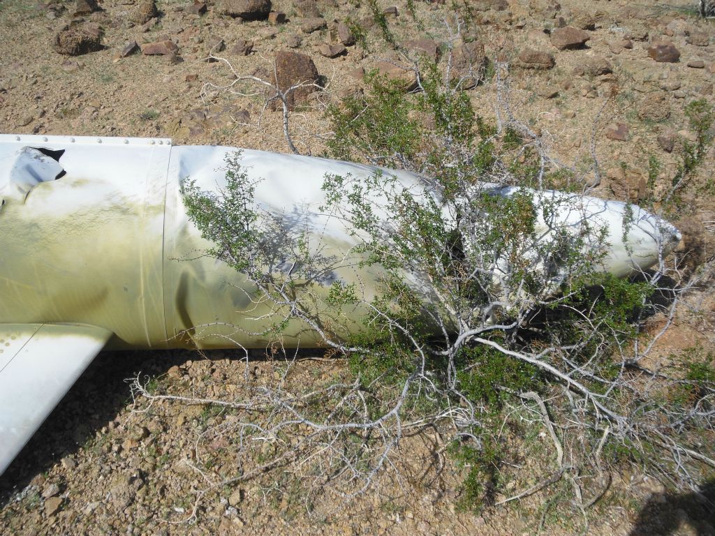 And the front end, which has become lodged in a small overgrowing bush:
