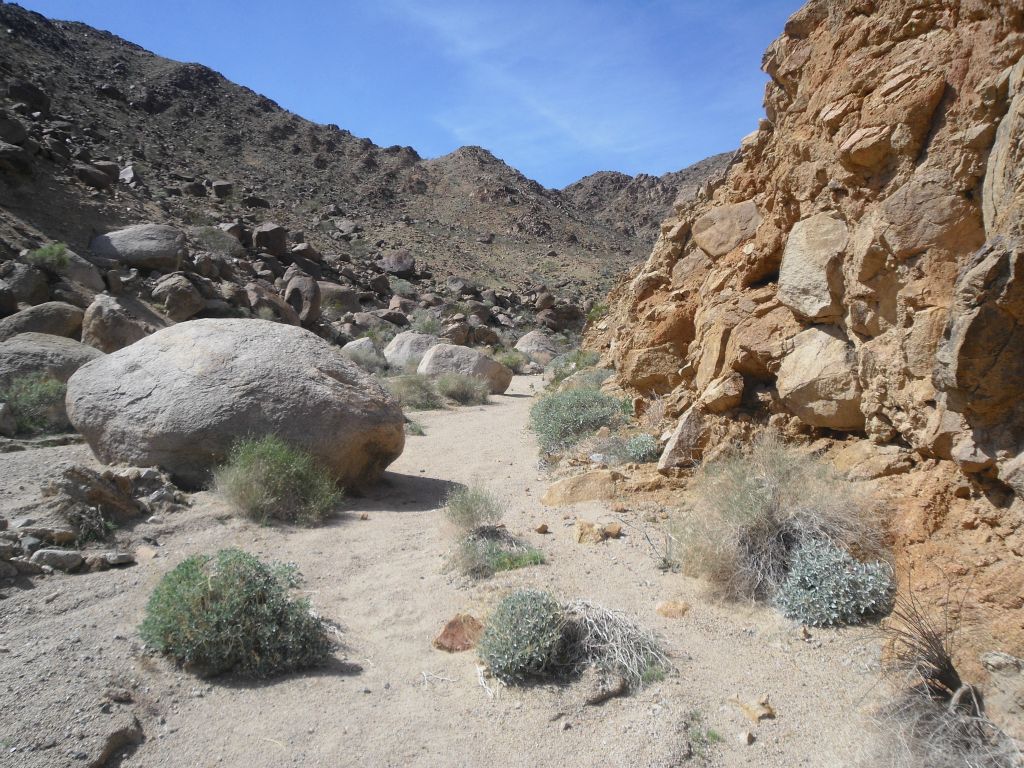 Fairly easy walking through here with very few obstacles to contend with: