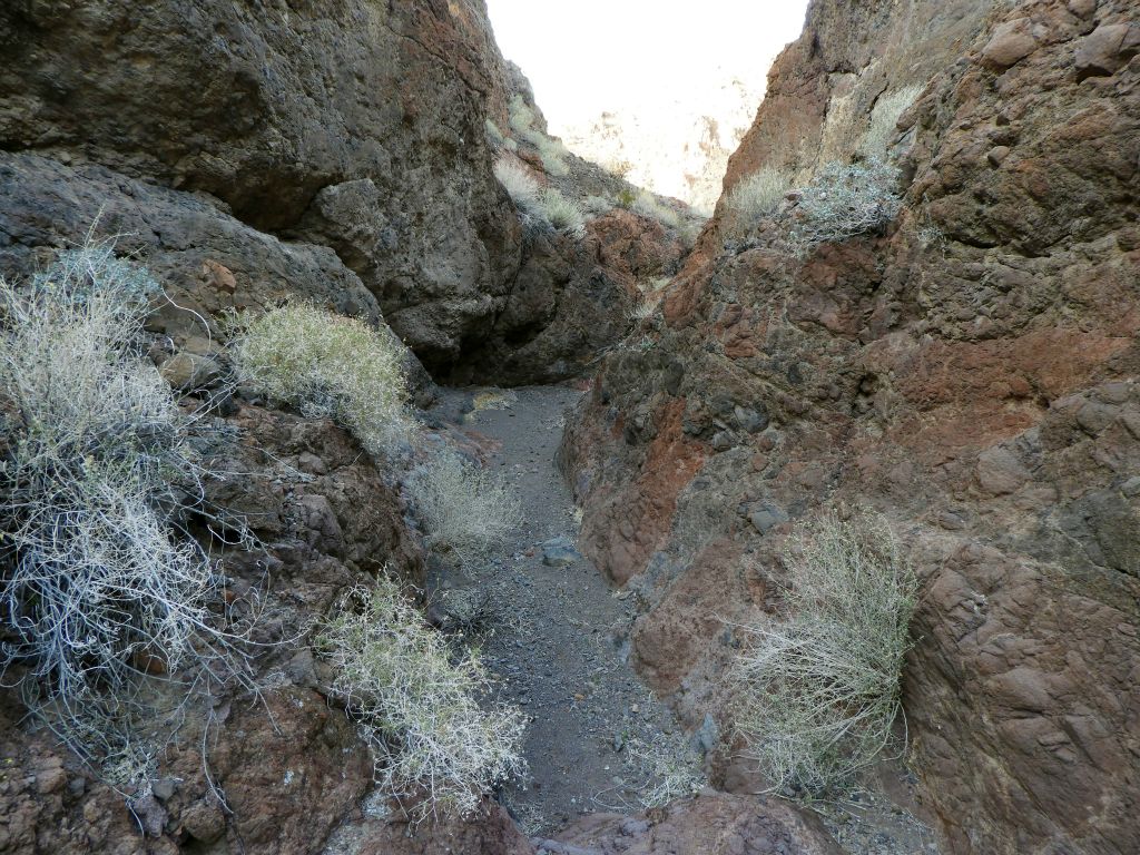 Notice how quickly the rock in the narrows transitions from one color to the next in the next two pictures: