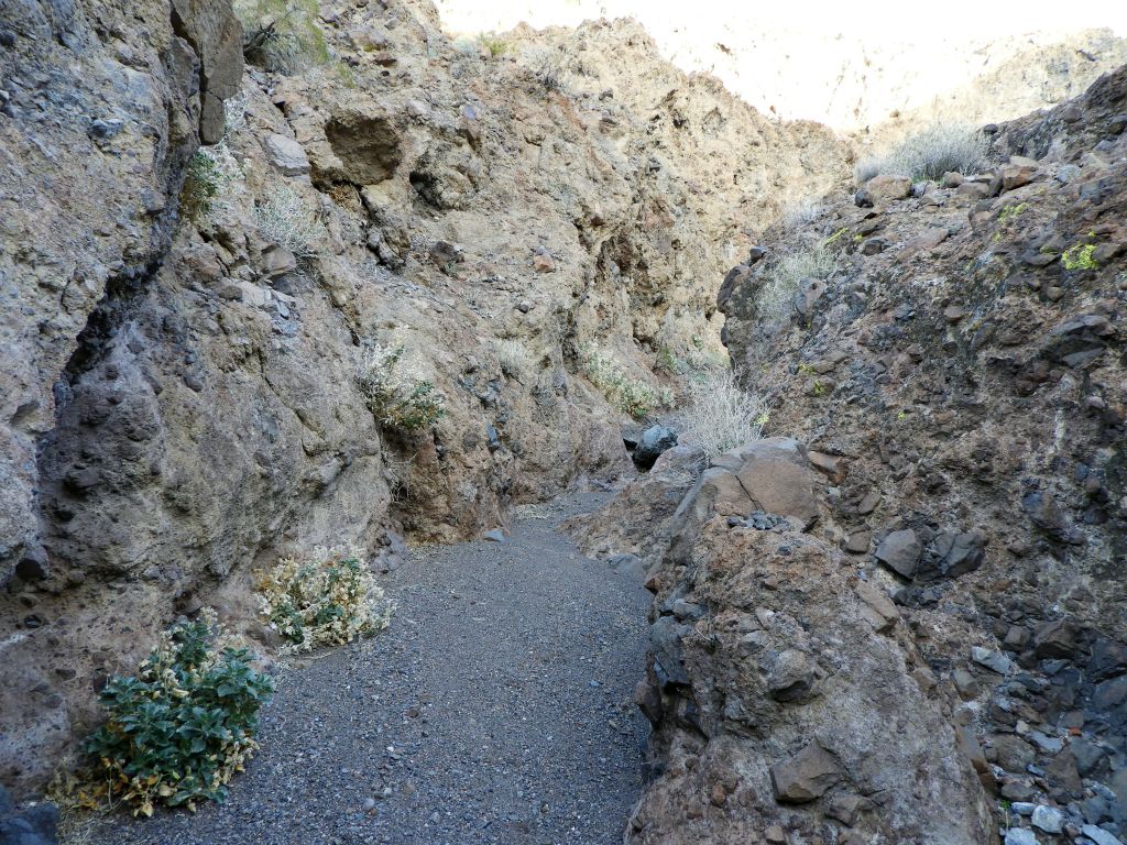 It was late afternoon but we were still getting some sunshine in the canyon: