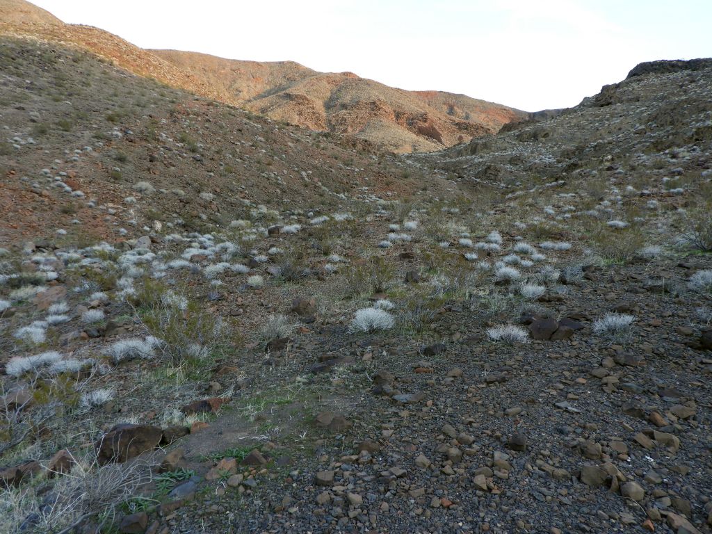 After that, the east fork opens up wide as it nears the top of the range: