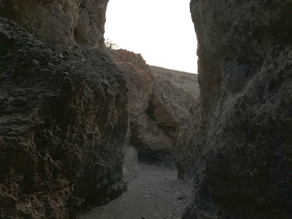 Up ahead, the west fork narrows came to an end and the canyon opened up once again: