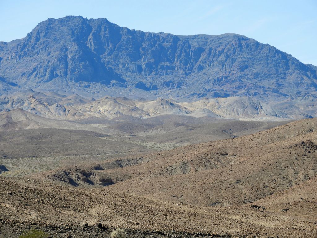 As the canyon gained elevation, we had some excellent views of the front face of Sugarloaf Peak, a hike that I had done four years earlier: